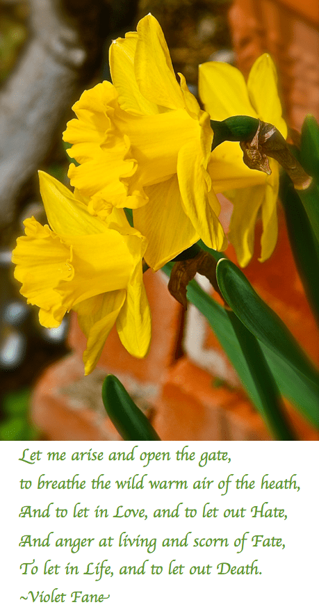 Screen Shot 2018-08-22 at 8.39.08 PM.png