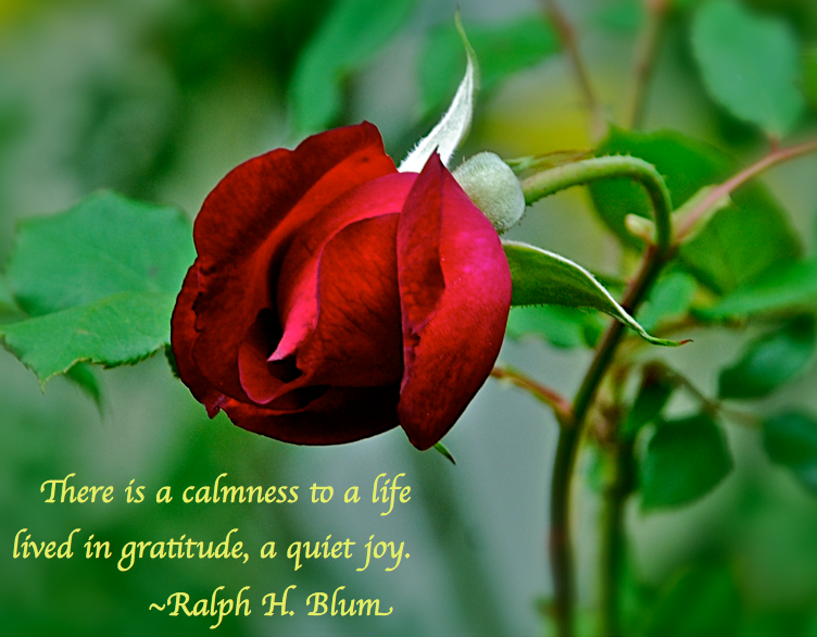 Screen Shot 2018-08-22 at 9.02.55 PM.png