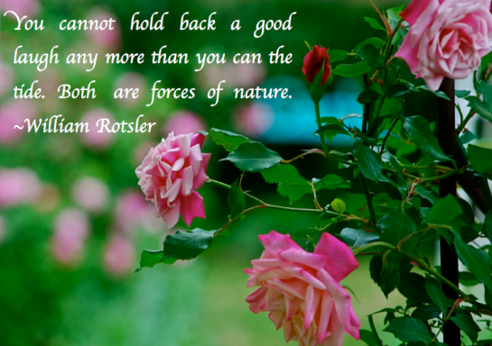 Screen Shot 2018-08-22 at 9.08.13 PM.png