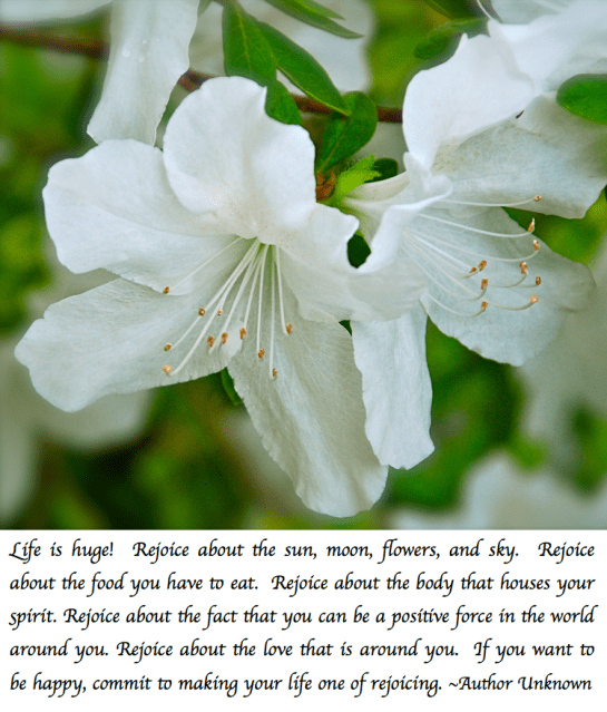 Screen Shot 2018-08-22 at 9.10.54 PM.png