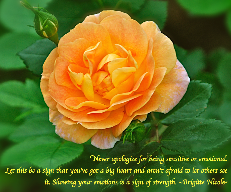 Screen Shot 2018-08-23 at 11.23.09 PM.png