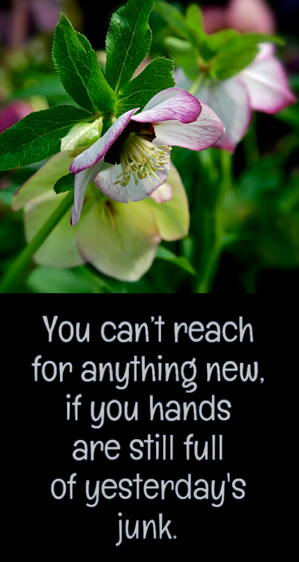 Screen Shot 2018-08-23 at 11.33.37 PM.png