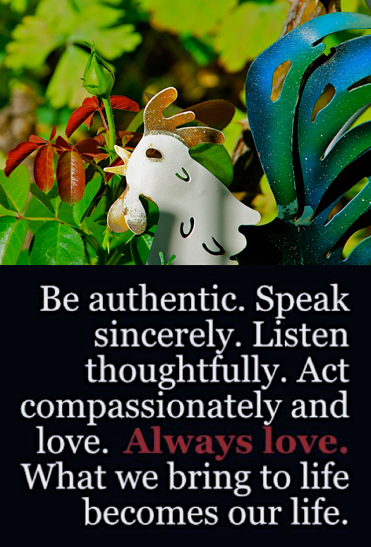 Screen Shot 2018-08-23 at 11.36.12 PM.png