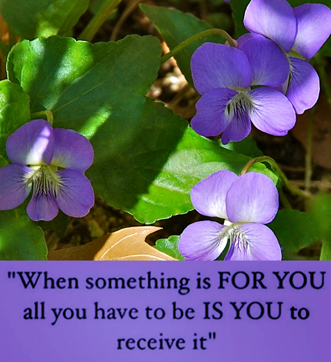 Screen Shot 2018-08-23 at 11.38.01 PM.png