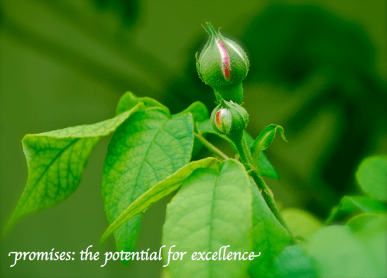 Screen Shot 2018-08-24 at 10.55.56 PM.png