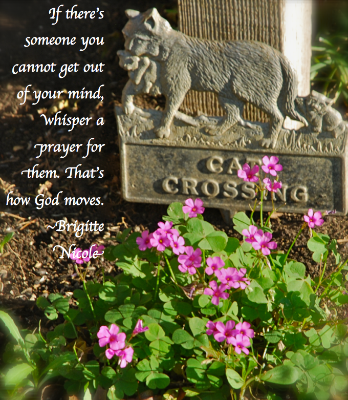 Screen Shot 2018-08-25 at 10.50.53 PM.png