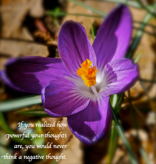 Screen Shot 2018-08-25 at 10.54.35 PM.png