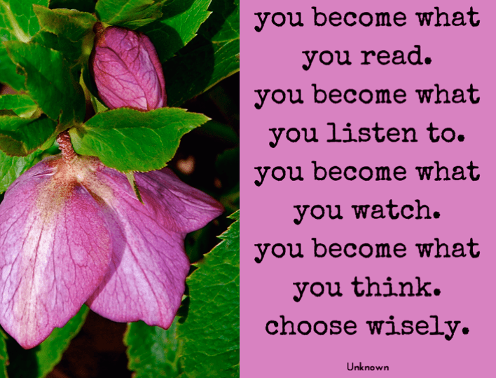 Screen Shot 2018-08-25 at 10.58.55 PM.png