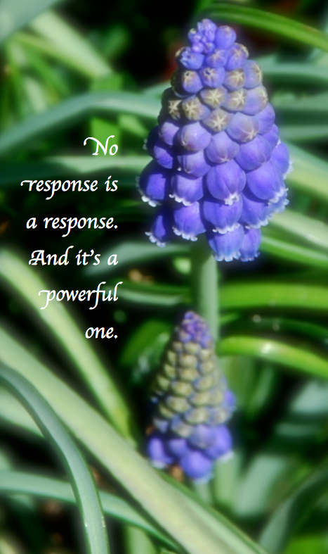 Screen Shot 2018-08-25 at 11.01.29 PM.png