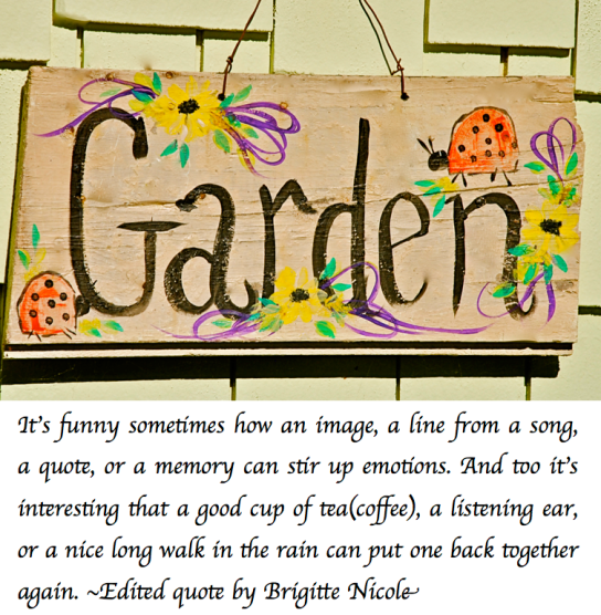 Screen Shot 2018-08-25 at 11.08.57 PM.png