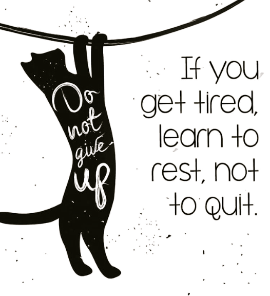 Screen Shot 2018-08-28 at 8.56.37 PM.png