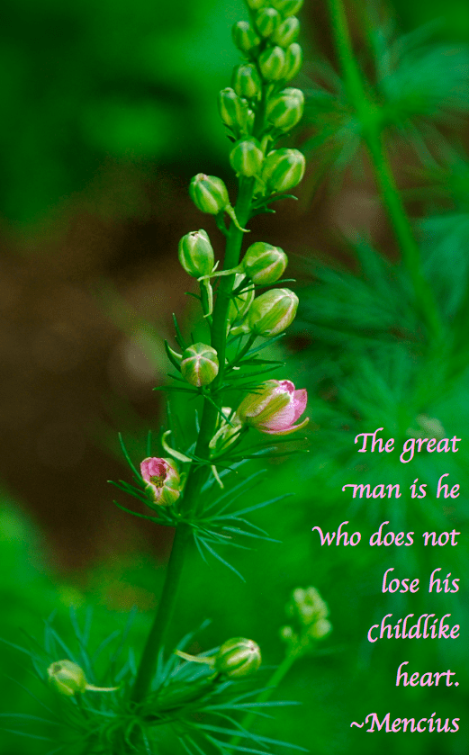 Screen Shot 2018-08-28 at 9.01.37 PM.png