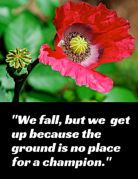 Screen Shot 2018-08-28 at 9.03.52 PM.png