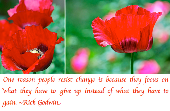 Screen Shot 2018-08-28 at 9.08.42 PM.png