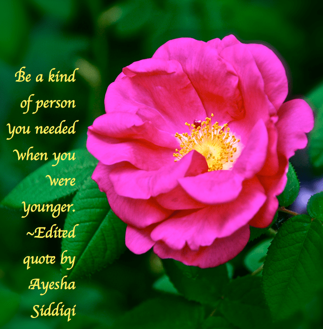 Screen Shot 2018-08-28 at 9.16.34 PM.png