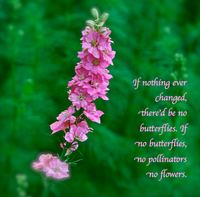 Screen Shot 2018-08-28 at 9.26.24 PM.png