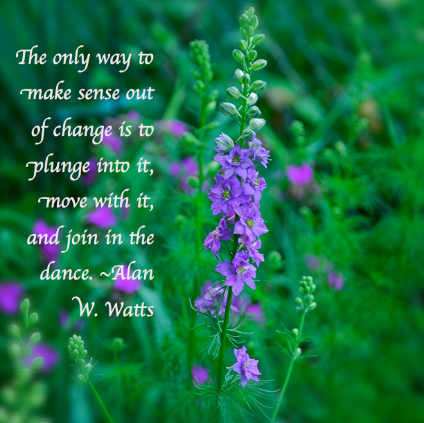 Screen Shot 2018-08-28 at 9.29.06 PM.png