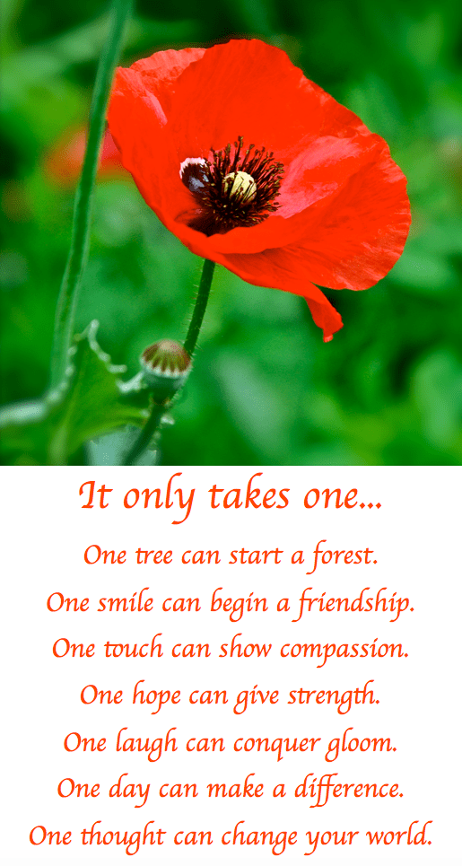 Screen Shot 2018-08-28 at 9.38.35 PM.png