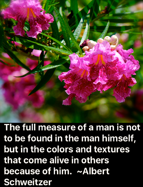 Screen Shot 2018-08-28 at 9.40.25 PM.png