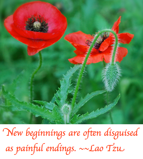 Screen Shot 2018-08-28 at 9.43.59 PM.png