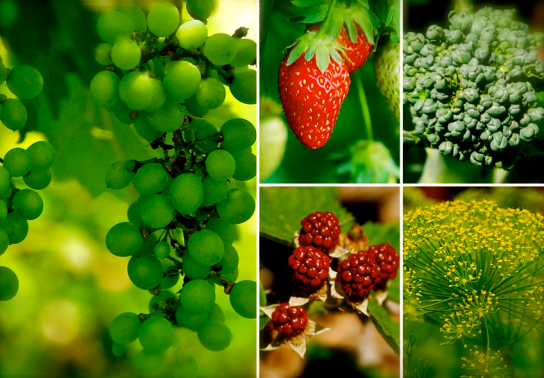 Screen Shot 2018-08-29 at 10.33.25 PM.png