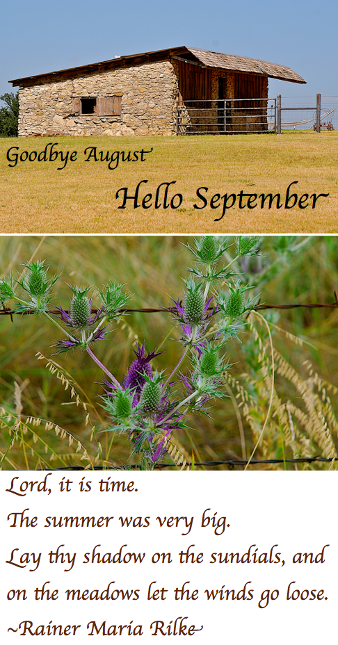 Screen Shot 2018-08-31 at 10.32.43 PM.png