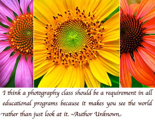 Screen Shot 2018-08-31 at 10.48.55 PM.png