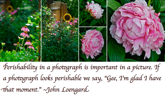 Screen Shot 2018-08-31 at 10.51.06 PM.png