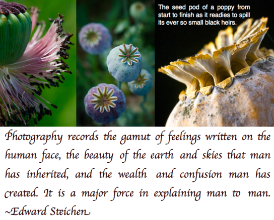 Screen Shot 2018-08-31 at 11.00.32 PM.png