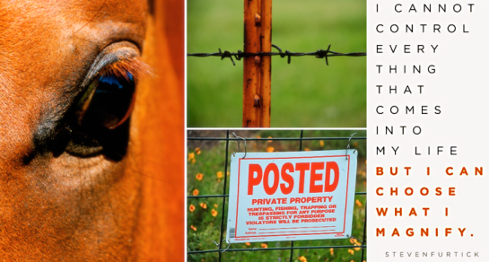 Screen Shot 2018-09-01 at 10.07.11 PM.png