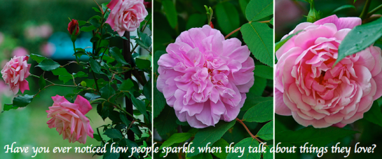 Screen Shot 2018-09-01 at 10.10.11 PM.png