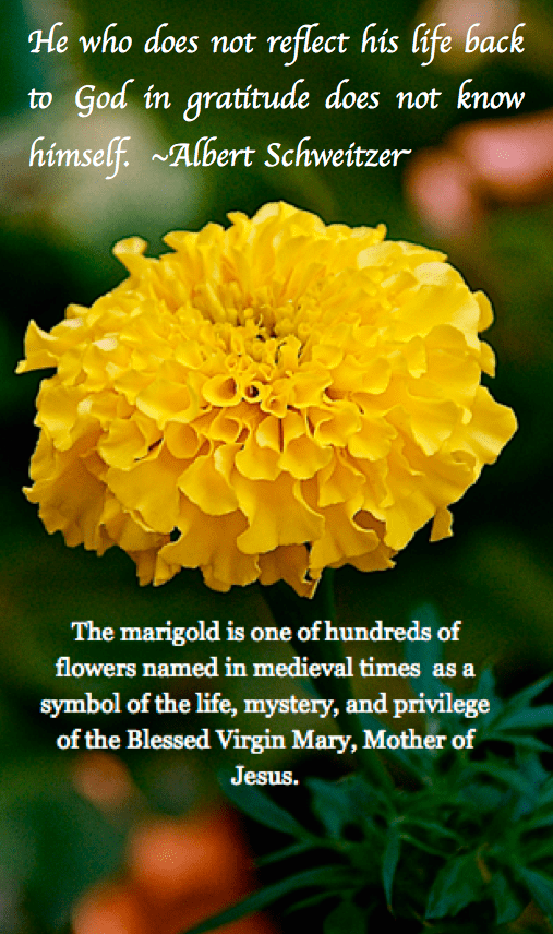 Screen Shot 2018-09-01 at 10.18.32 PM.png