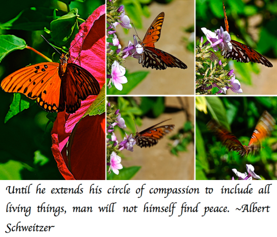 Screen Shot 2018-09-01 at 9.49.16 PM.png