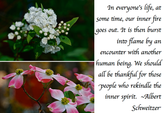 Screen Shot 2018-09-01 at 9.55.15 PM.png