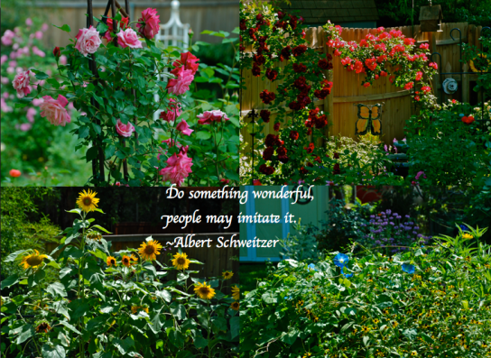 Screen Shot 2018-09-01 at 9.58.31 PM.png