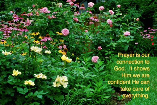 Screen Shot 2018-09-03 at 10.07.01 PM.png