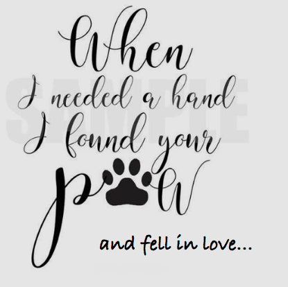 Screen Shot 2018-09-03 at 10.31.50 PM.png