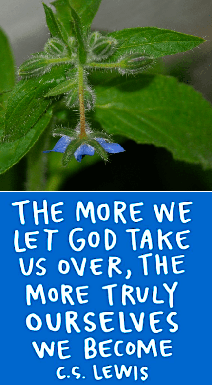 Screen Shot 2018-09-03 at 10.38.41 PM.png