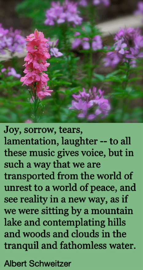 Screen Shot 2018-09-03 at 10.40.41 PM.png