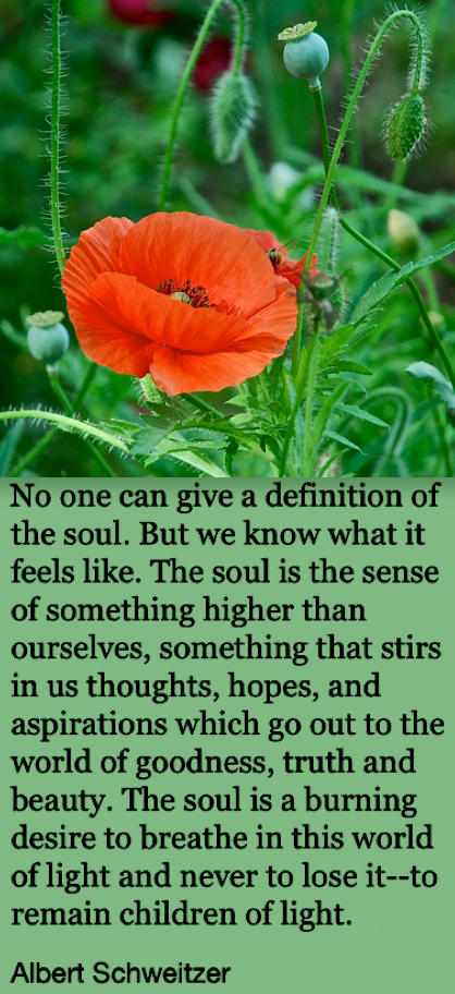 Screen Shot 2018-09-03 at 10.42.25 PM.png