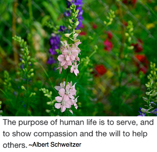 Screen Shot 2018-09-03 at 10.44.57 PM.png