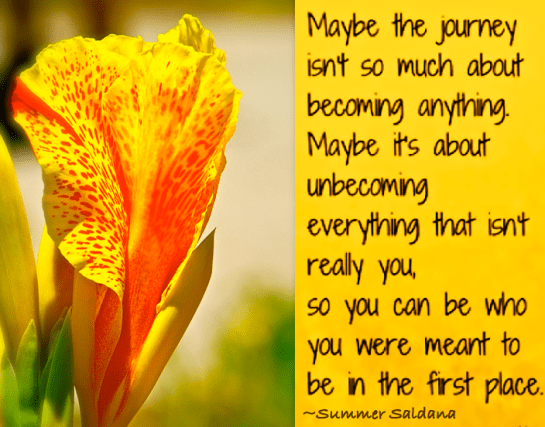 Screen Shot 2018-09-05 at 10.16.01 PM.png