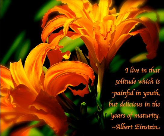 Screen Shot 2018-09-05 at 10.22.39 PM.png