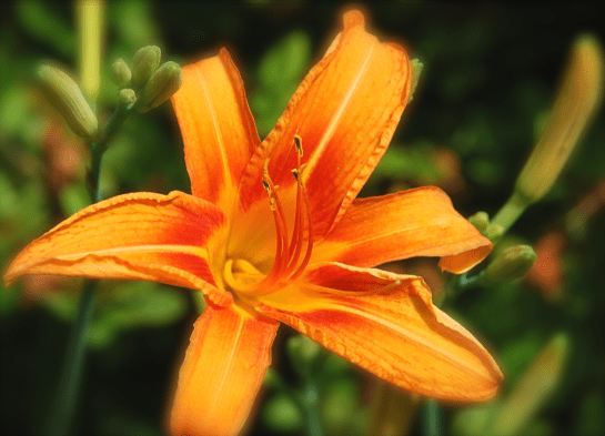 Screen Shot 2018-09-05 at 9.49.47 PM.png