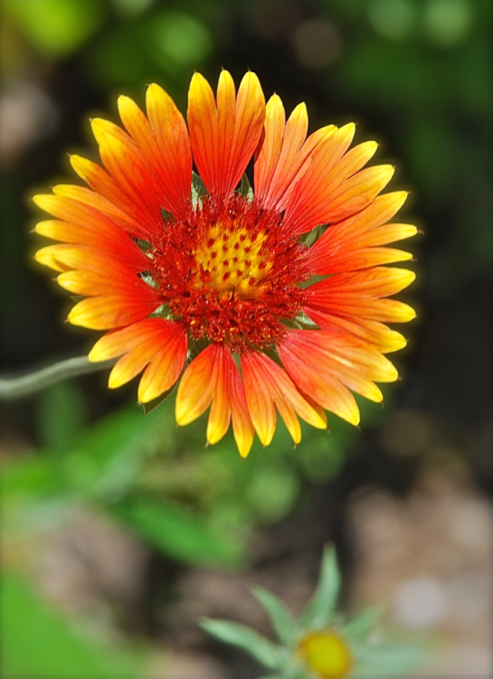 Screen Shot 2018-09-05 at 9.52.23 PM.png