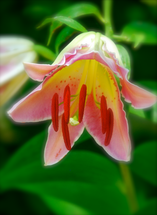 Screen Shot 2018-09-05 at 9.56.19 PM.png