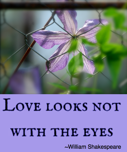 Screen Shot 2018-09-07 at 10.25.31 PM.png