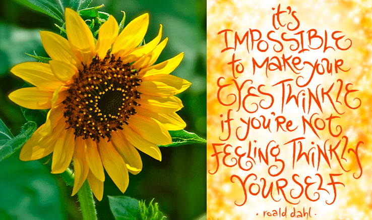 Screen Shot 2018-09-09 at 9.34.11 PM.png