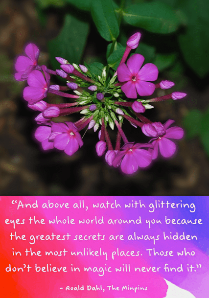 Screen Shot 2018-09-09 at 9.37.10 PM.png