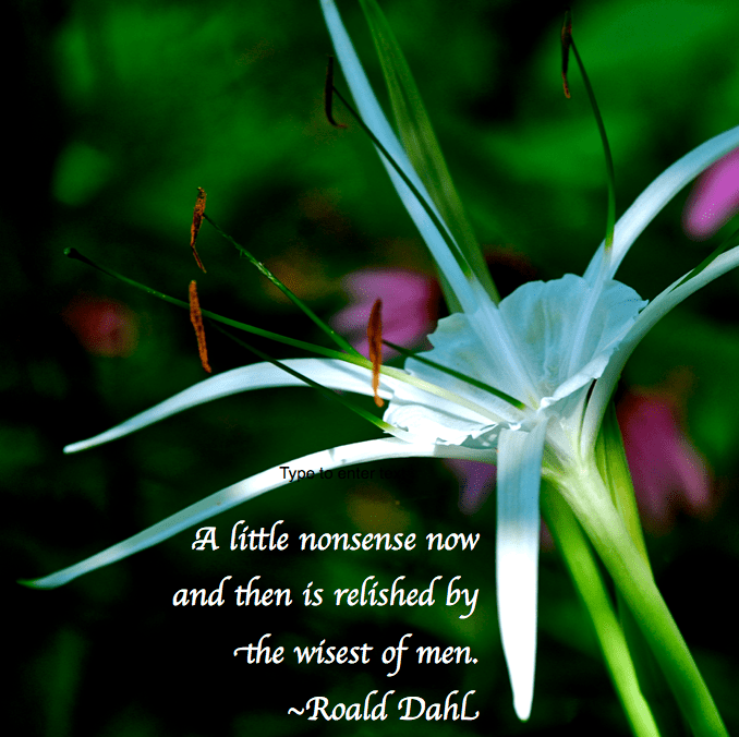 Screen Shot 2018-09-09 at 9.40.26 PM.png